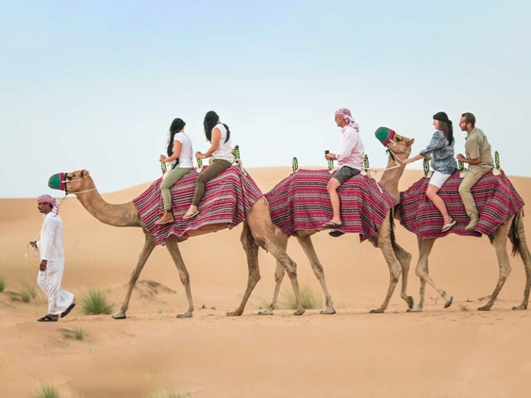 Desert Camel Riding 1