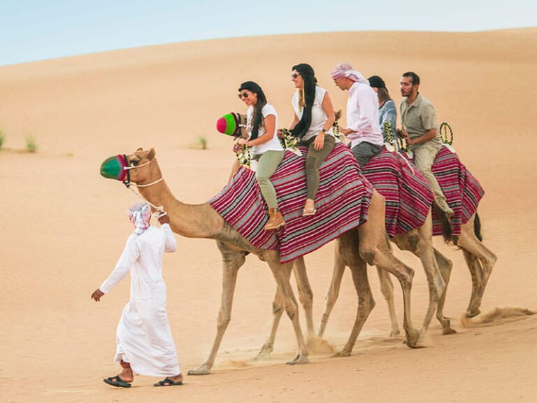 Desert Camel Riding 2