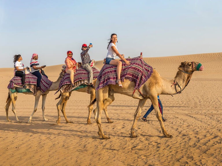 Desert Camel Riding 3