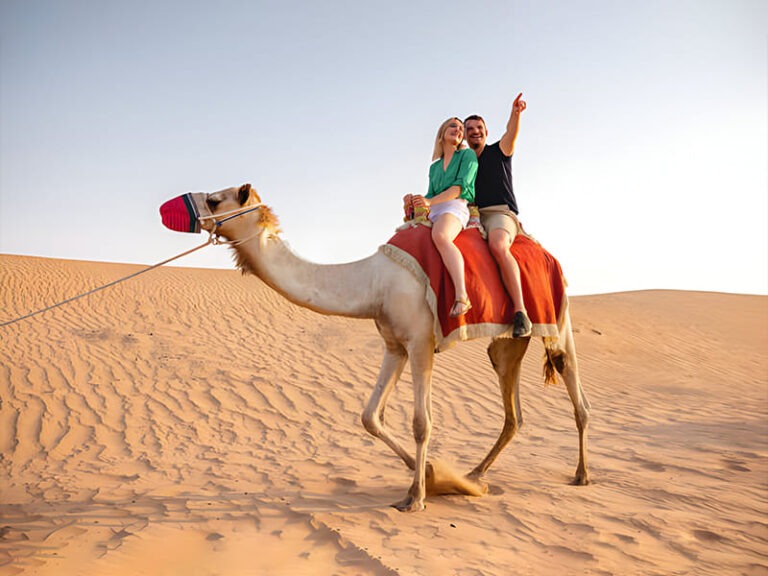 Desert Camel Riding 4