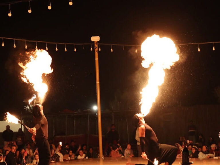 Live Entertainment Shows 1