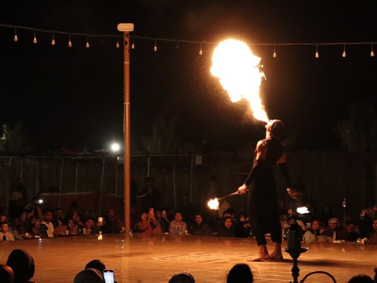 Live Entertainment Shows 2